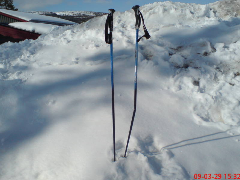 [image-upload-45-735892.jpg]