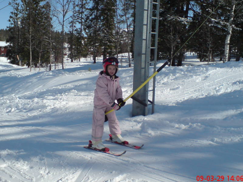 [image-upload-31-756710.jpg]