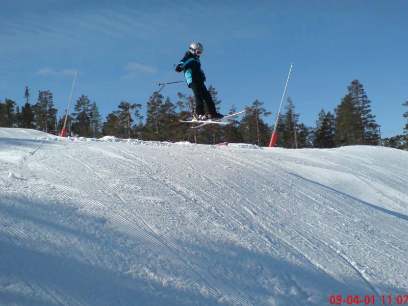 [image-upload-24-776118.jpg]