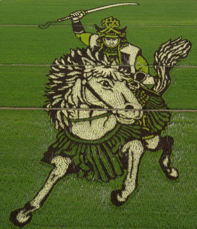 [image009.jpg]