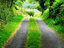 Helen Keller Goat Path, Co. Tipperary, Ireland