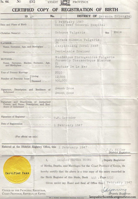 HOW CAN I GET MY KENYAN BIRTH CERTIFICATE visual data 4