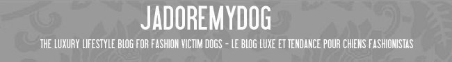 jadoremydog