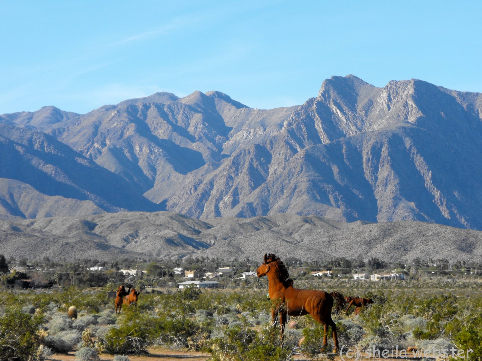 Holiday Homes Holiday Homes Borrego Springs