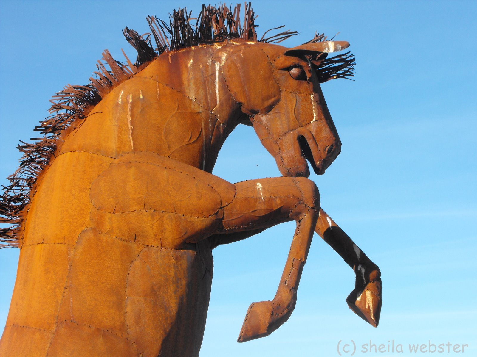 We Love RV'ing Borrego Springs, CA Metal Art Sculptures Ricardo
