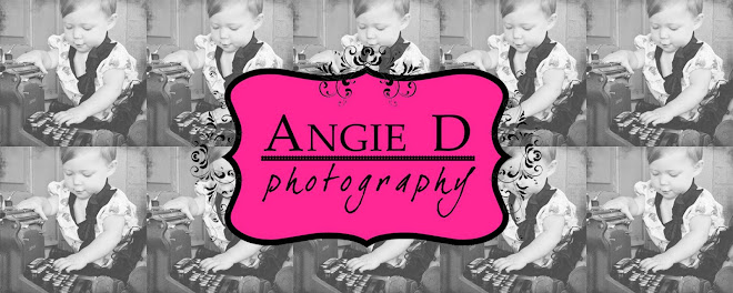 Angie D Photography