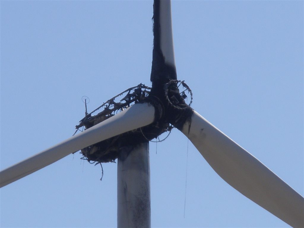 [Eólica_Burn_2.JPG]