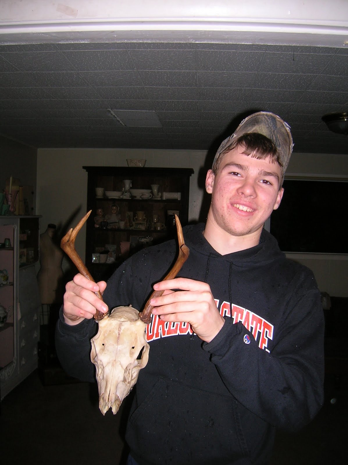 The Gallimaufry Making my European Mount