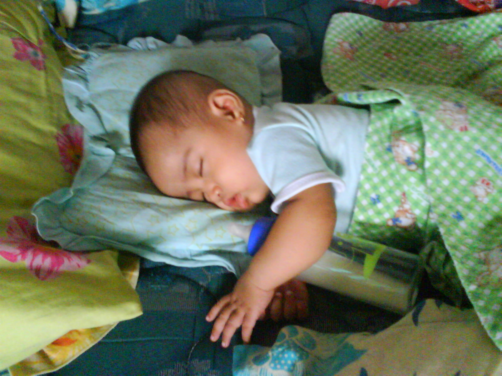 [DSC01232.JPG]