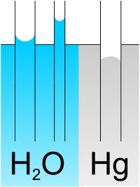 Comparativa de capilaridad entre agua y mercurio