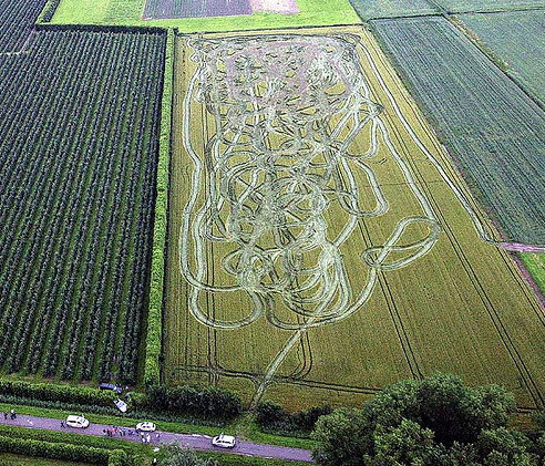 [rezza foournito_crop_field.jpg]