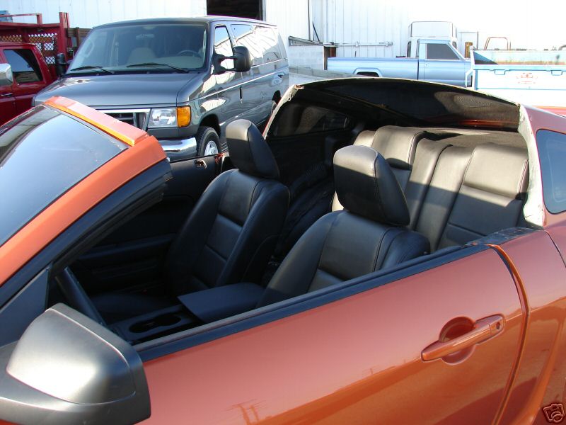 [rezza foournito_MustangCut_11.JPG]