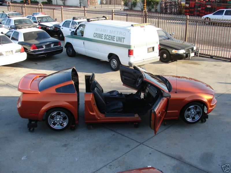 [rezza foournito_MustangCut_4.JPG]