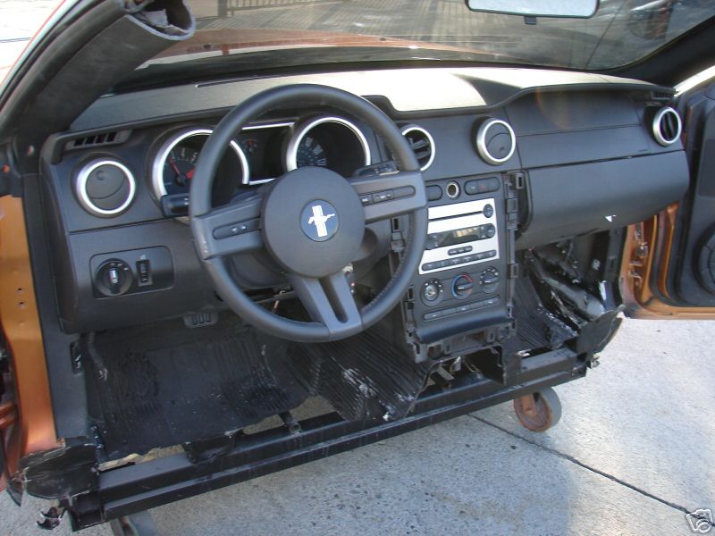 [rezza foournito_MustangCut_9.JPG]