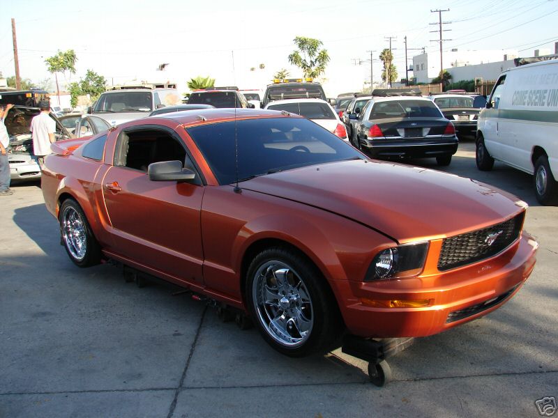 [rezza foournito_MustangCut_18.JPG]