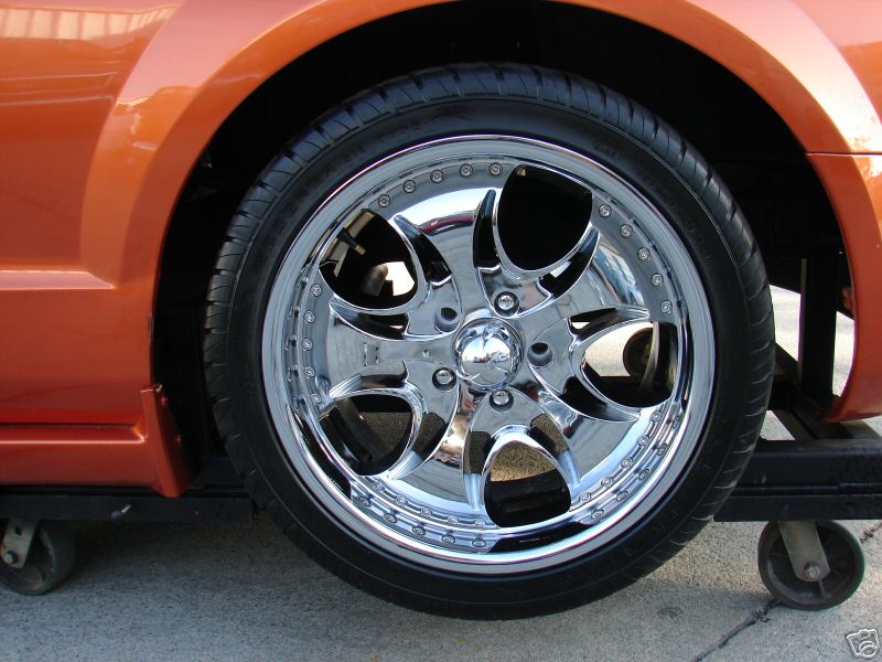 [rezza foournito_MustangCut_17.JPG]