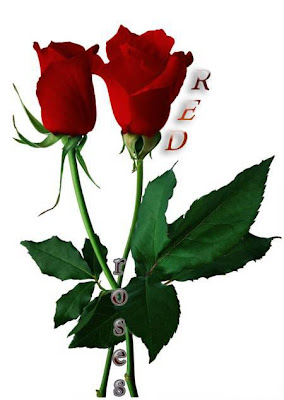 Pair of romantic bangalore red rose pics