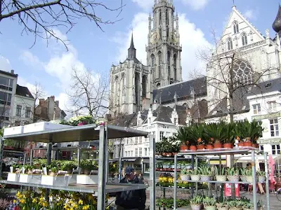 Antwerp Flower Market