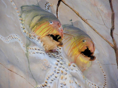 Mini-escapada a Palma de Mallorca - Blogs de España - Día 1: Llegada a Palma (9)