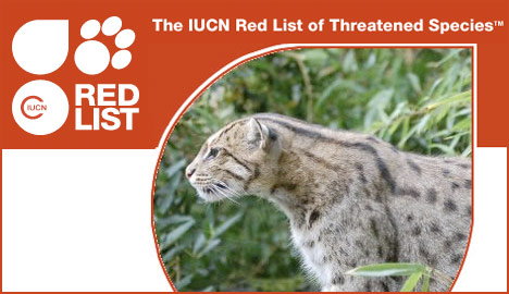растения. карта вымирания видов в мире. Iucn red list. список critically endangered. Endangered species 2022.