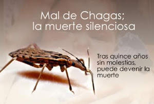 La enfermedad de Chagas la transmite una chinche