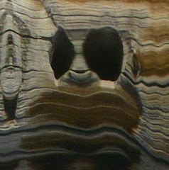 Wood face