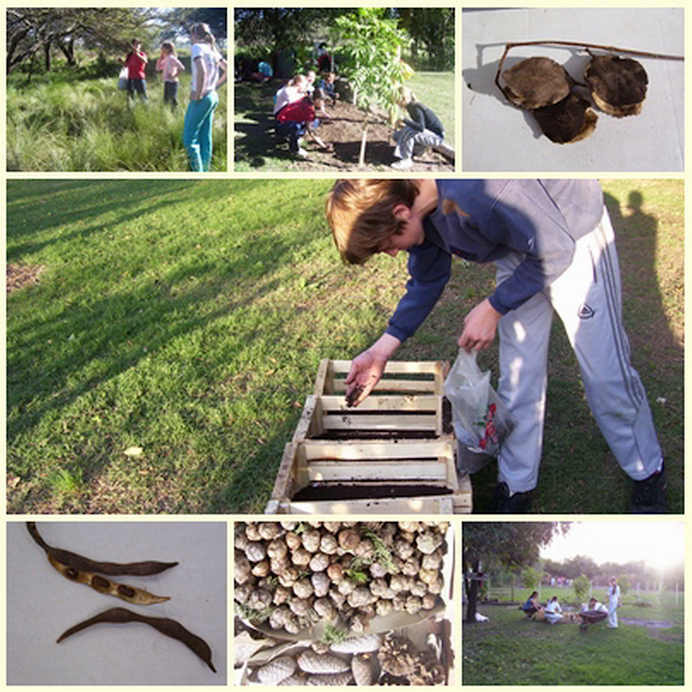 Viernes por la tarde