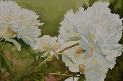 peony watercolor demo painting mania