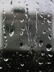 [22091311_IMG_2611aniCs2.gif]