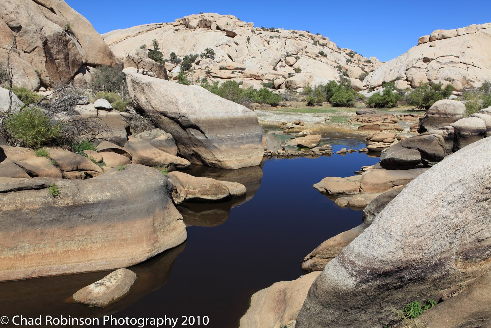 chad-robinson-photography-joshua-tree-pappy-and-harriets