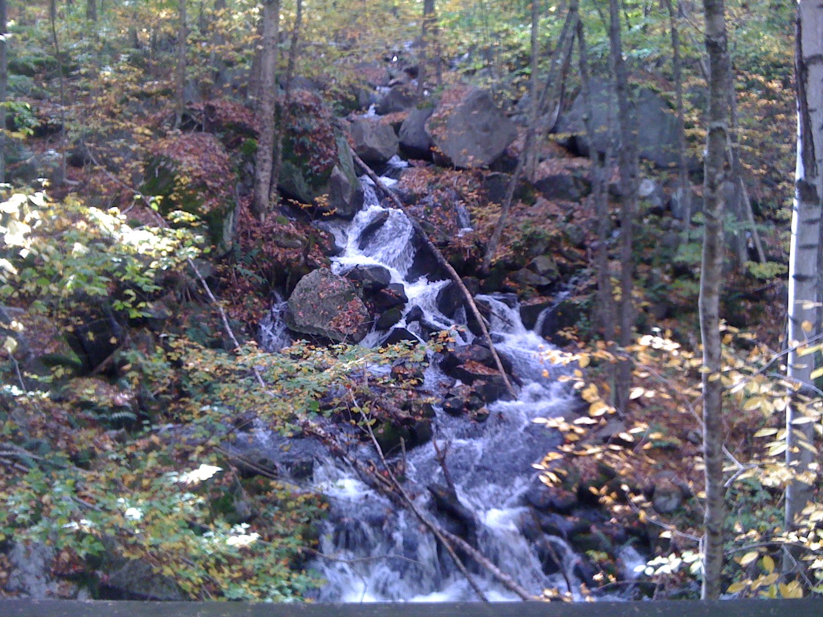 The Whim of the Great Magnet: 10-2-10 Groton Rail Trail