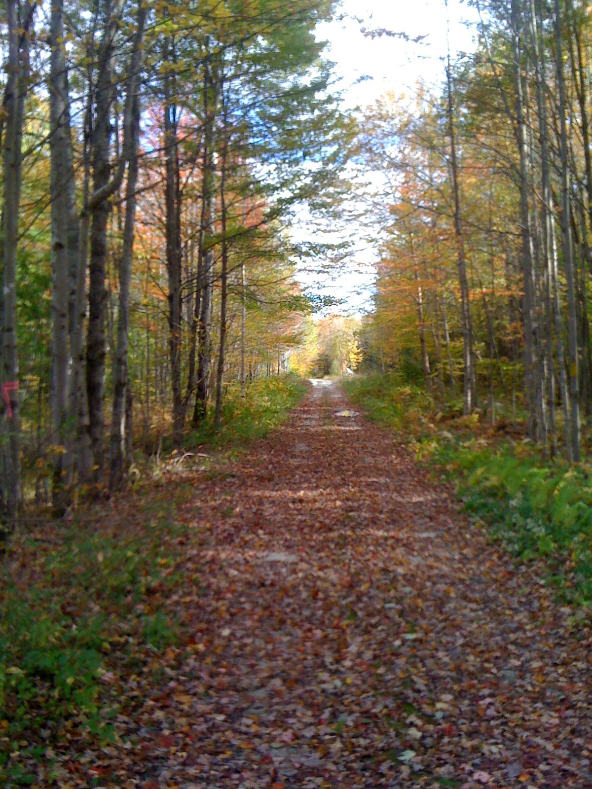 The Whim of the Great Magnet: 10-2-10 Groton Rail Trail