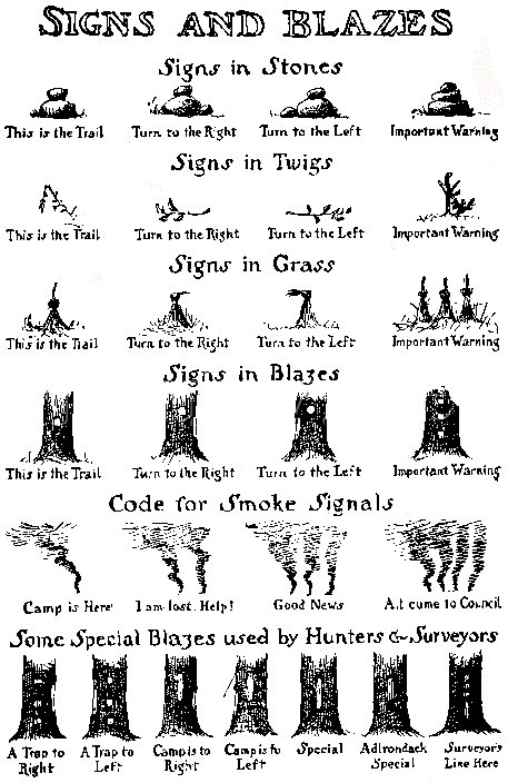 Art of Divination: Xylomancy - divination using trees