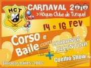 [carnaval+turquel2010.bmp]