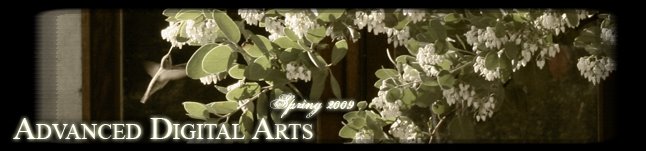 Advanced Digital Arts