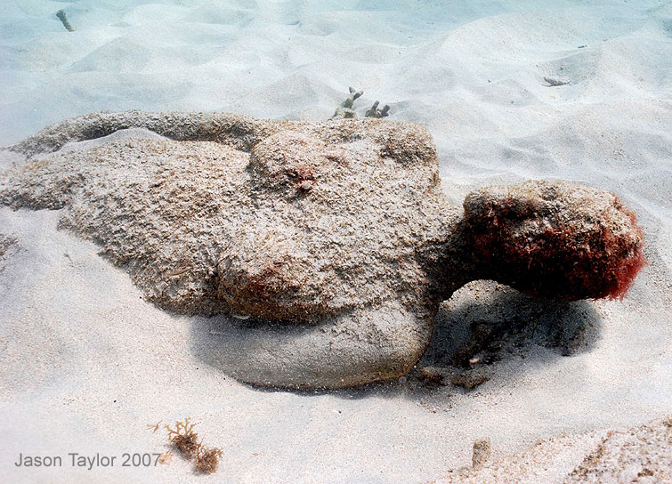 [underwater_sculptures_02.jpg]