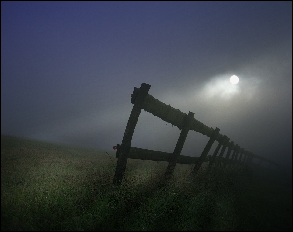 [corn_fields_21.jpg]