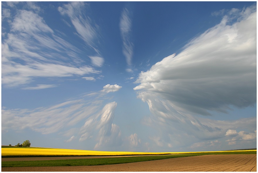 [corn_fields_05.jpg]