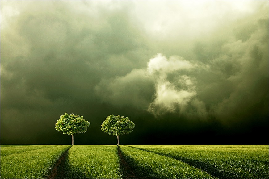 [corn_fields_01.jpg]