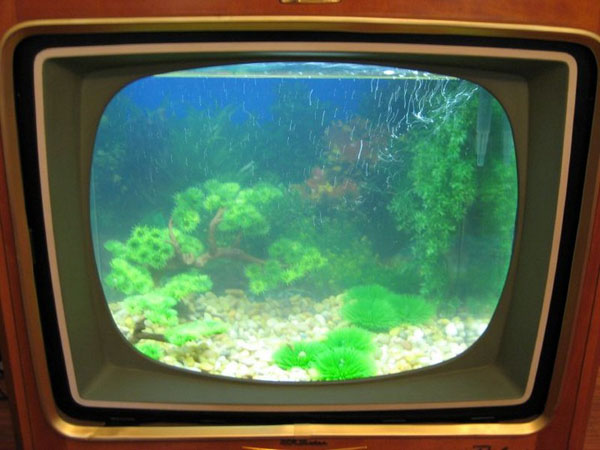 [15_old_tv_aquarium.jpg]