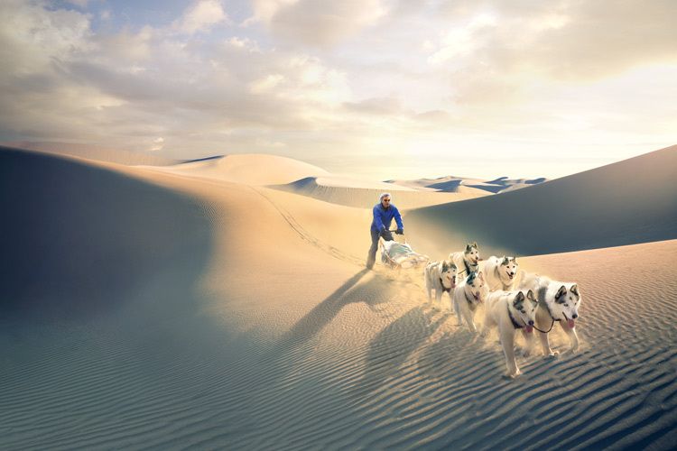 [markku_lahdesmaki_photography_44.jpg]