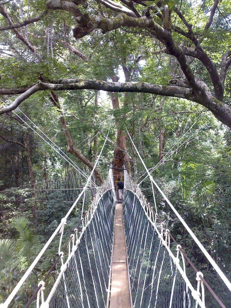 [Most_Dangerous_Rope_Bridges_16.jpg]