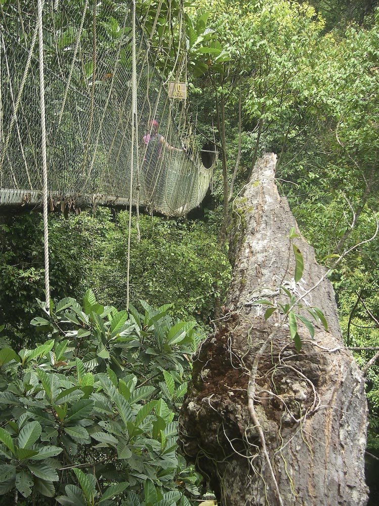 [Most_Dangerous_Rope_Bridges_15.jpg]