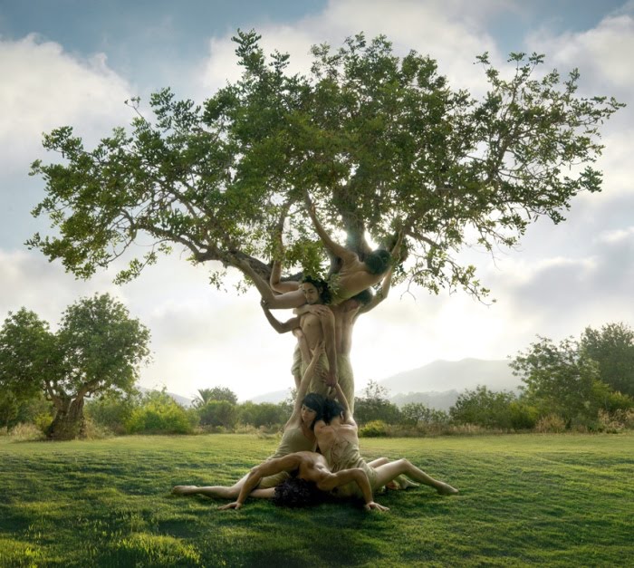 [christophe_gilbert_visual_art_59.jpg]