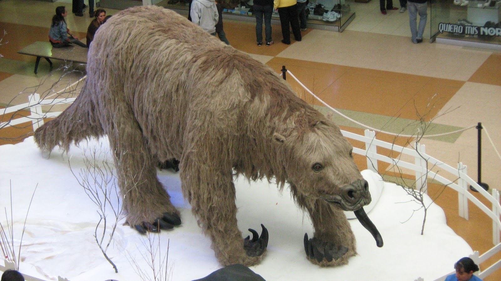 MI SITIO DE PALEONTOLOGIA Los gigantes de la era de hielo MI SITIO DE PALEONTOLOGIA Los gigantes de la era de hielo