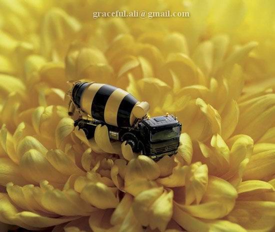 [Amazing+Photoshop+Pics-4..jpg]