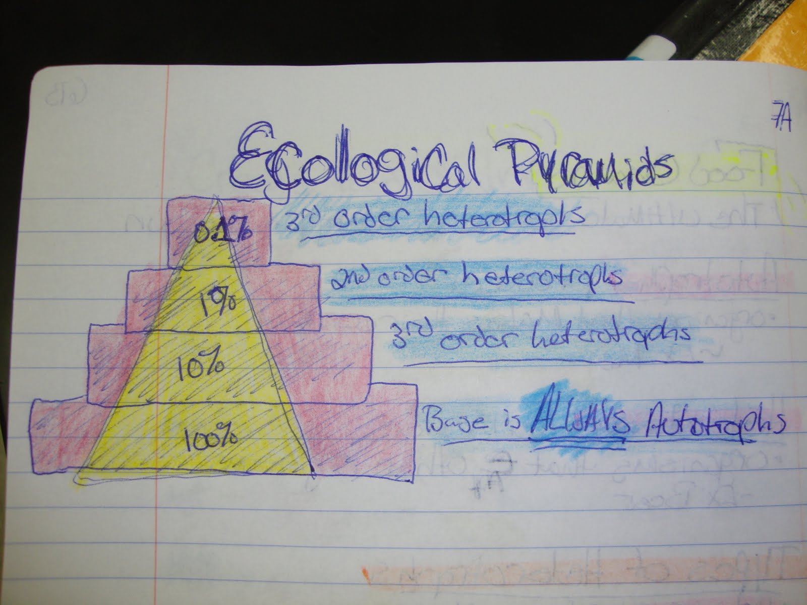 Biology Rocks!!: Ecological Pyramids