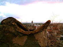 San Cosma