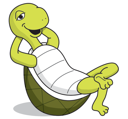 Imposter Turtle Who knew a **turtle** could reach 10K so quickly? | SpanishDictionary ...