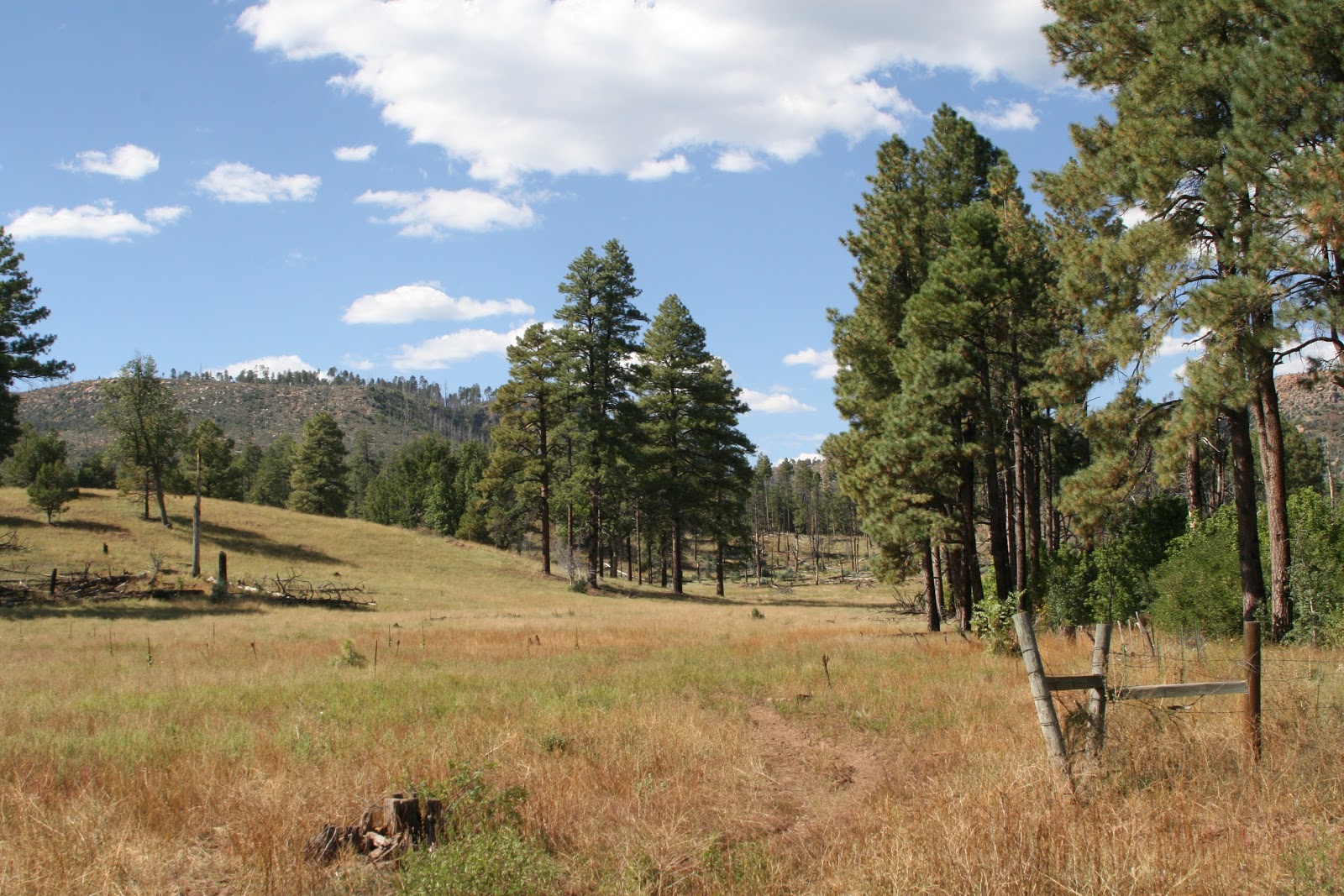 Darren's Rides Trip To Young AZ.